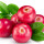 Lingonberry note image