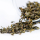 Lishan Tea note image