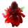 Longoza note image