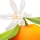 Mandarin Orange Blossom note image