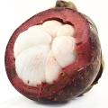 Mangosteen blossom