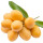 Marian Plum note image