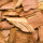 Mesquite note image