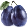 Mirabella Plum