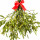 Mistletoe note image
