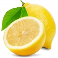 Moroccan Lemon