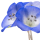 Nemophila note image
