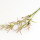Nut Grass note image