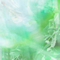 Nympheal™ note image