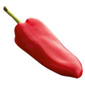 Orange Pepper