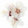 Orchard Blossom note image