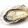 Oysters note image