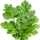 Parsley note image