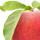 Peach Leaf note image