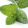 Physcool® note image