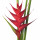 Pink Flamingo Heliconia note image