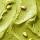 Pistachio Spread Cream note image