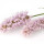 Polygonum note image