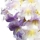 Princess Tree (Paulownia) note image