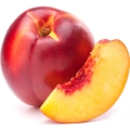 Red Nectarine