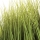 Reed note image