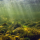 River Notes note image