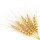 Rye note image
