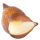 Salak note image