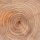 Sandalore™ note image