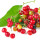 Sarsaparilla note image