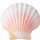 Sea Shells note image