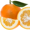 Sicilian Bitter Orange