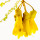 Sophora Toromiro Flower note image