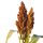 Sorghum note image