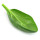 Spinach note image