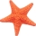 Starfish note image