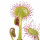 Sundew note image