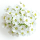 Sweet Alyssum note image
