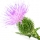 Thistle note image