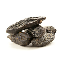 Tonka Bean