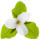 Trillium note image