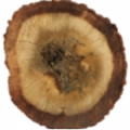Vietnamese Oud note image