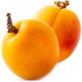 White Apricot