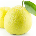 White Bergamot