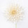 White Dahlia note image