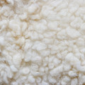 Wool note image