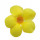 Yellow Bells note image