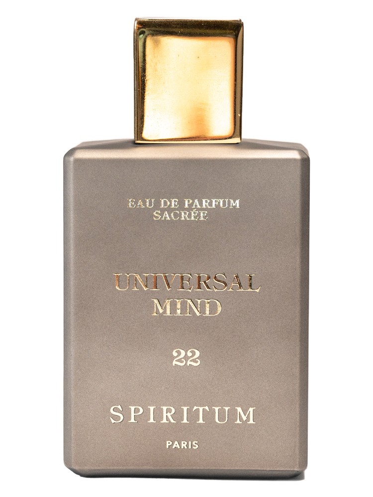 22 Universal Mind