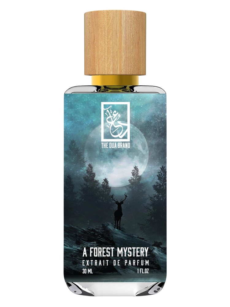 A Forest Mystery