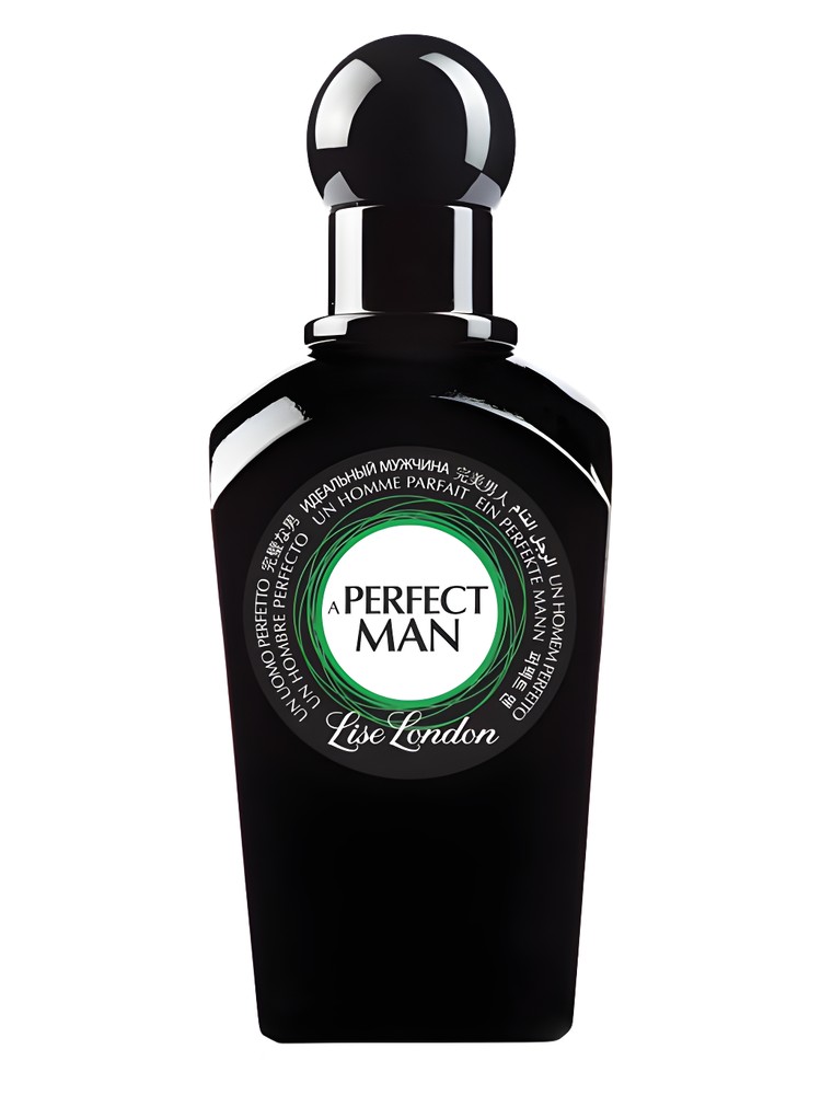 A Perfect Man